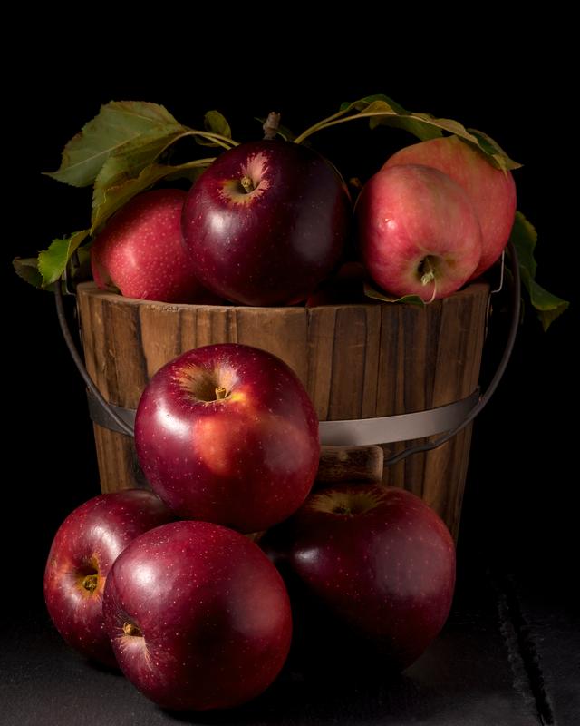 Apple harvest, 2021