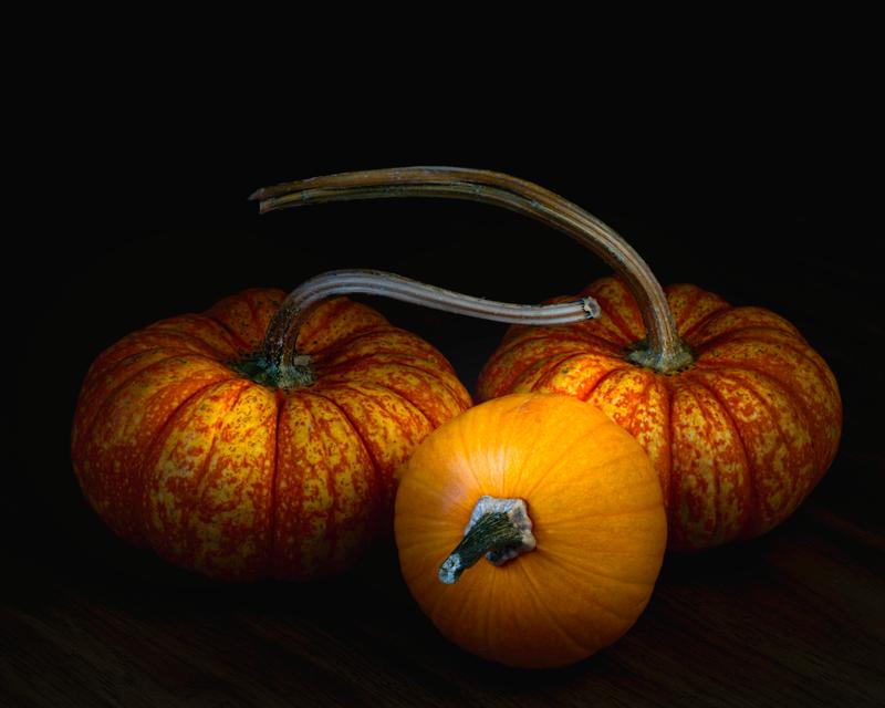 Autumn triangulation, 2019