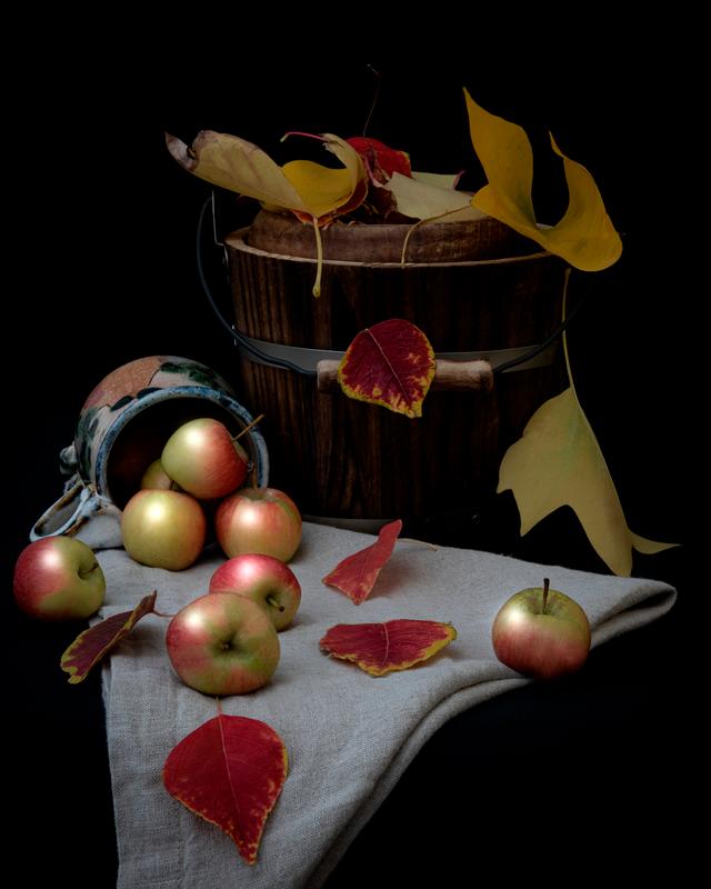 Crabapple harvest, 2020